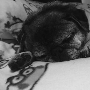 Meet your Posher, Kristine